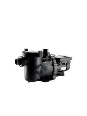 Swimming Pool Pump: Jandy VS PlusHP 2.7 HP, 115v/230v, 2-Auxiliary Relay  Variable-Speed Pump